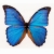 :icondayforyou:
