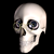 :icondaylatehero: