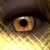 :icondayna2: