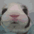 :icondaysofmae: