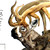 :icondaze-dreams: