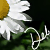 :icondazydeb: