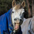 :icondazzandsilky: