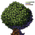 :icondazzledust: