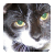 :icondazzlekatt: