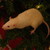 :icondb-sach: