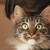 :icondbjudith: