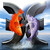 :icondburon: