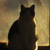 :icondbw13: