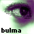 :icondbz-bulma: