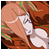 :icondbzgirl2010: