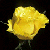 :icondcsplash33: