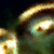 :icondcwashington: