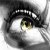 :iconddxmotion: