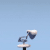 :iconde-greenify: