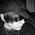 :icondead-alone-kill-me: