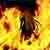 :icondead-hat: