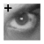:icondead-in-hollywoodxx: