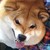:icondead-little-princess: