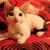 :icondead-memories-l-y: