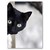 :icondeadbagheera: