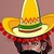 :icondeadboltsentinel: