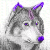 :icondeadboltxwriter: