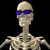 :icondeadboywalkin: