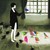 :icondeadbunniesarentfun: