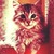 :icondeadcat-t: