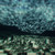 :icondeadchannelsky:
