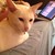 :icondeadgiraffe: