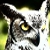 :icondeadhorus: