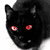 :icondeadlykitty111: