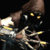 deadman245678 :icondeadman245678: