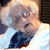 :icondeadnation: