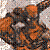 :icondeadpool01: