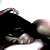:icondeadrosemarys: