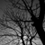 :icondeadrustedtree: