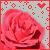:icondeadscreen: