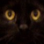 :icondeadsharkeyes: