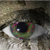 :icondeadskinfactory: