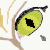 :icondeadsphinx: