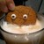 :icondeadsphinx: