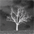 :iconDeaDx-x: