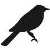 :icondeadxbirds: