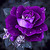 :icondeandesigns:
