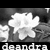 :icondeandra: