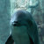 :icondeanneh: