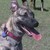 :icondear-jenzie: